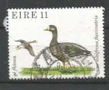 Irlande 1979 - YT n° 402 - Oiseau
