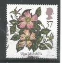 miniature Grande-Bretagne 1991 - YT n°1555 - Roses - cote 2,00