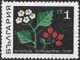 miniature Bulgarie - Y&T 1648 (o) - CTO