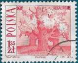 miniature POLOGNE 1966 - Vieux chênes, Rogalin Yt:PL 1561