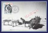 miniature TAAF Carte Maximum N° 265 Traineau à Chiens Terre Adélie Hobbs 2000 Dumont D'Urville 