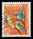 SUISSE 1970 - Y&T 868 (oblitéré) Mésange bleue eurasienne (Parus caeruleus)