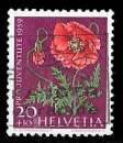 SUISSE 1959 - Y&T 636 (oblitéré) Coquelicot commun (Papaver rhoeas)