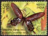 9022 - Y&T n° 2024 - oblitéré - Papillon - Pachliota rhodifer - 2008 - Inde