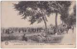 CPA 51 Vertus - Bataille de la Marne, un bivouac - écrite en 1914