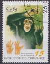 Cuba 1998 Y&T 3714 oblitéré - Chimpanzés 