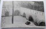 miniature (75) CPA -PARIS Inondations de Paris (janvier 1910) Au Jardin des Plantes, bain forcé Année 1910 