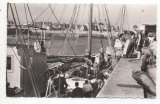 cpsm 29 Roscoff  Le débarquement des Homards