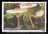 Guyana 1989 - Y&T 2079 Oblitéré - Lépiota Cristata champignon