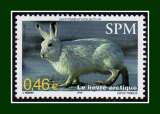 Saint Pierre et Miquelon N° 782 ** MNH  Lièvre arctique 2002 (sous faciale) lapin