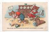cpsm  Chats scène de ménage : voilà ce qui arrive ...