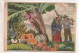  cpsm Portugal  Açores entier postal illustré 