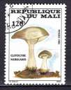 MALI 1985  LES CHAMPIGNONS OBLITERE  