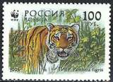 Russie - 1993 - Y & T n° 6030 - MNH