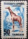 MAROC ESPAGNOL Girafe neuf **