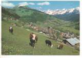 cpm 74 Grand-Bornand Vue générale de la station, le Lachat et la Chaîne des Aravis 