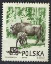 Pologne - 1954 - Y & T n° 785 - MNH