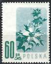 Pologne - 1957 - Y & T n° 905 - MNH