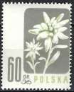 Pologne - 1957 - Y & T n° 906 - MNH