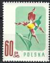 Pologne - 1957 - Y & T n° 907 - MNH