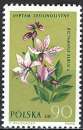 Pologne - 1962 - Y & T n° 1189 - MNH