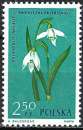 Pologne - 1962 - Y & T n° 1195 - MNH
