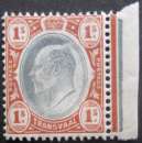 miniature TRANSVAAL N°171 filigrane CA multiple neuf ** cote 8€