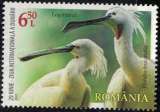 miniature Roumanie 2022 Used Oiseau Platalea Leucorodia Spatule Blanche Y&T RO 6885 SU