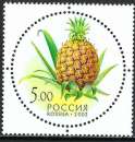 miniature Russie - 2003 - Y & T n° 6747 - MNH