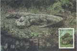 miniature Chine Carte Maximum CROCODILE 2000 