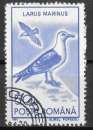 miniature Roumanie 1991 - YT3921 -  Goéland marin - oblitéré