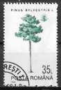 miniature Roumanie 1994 - YT4161 - Arbre. Pin sylvestre - oblitéré