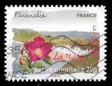 miniature France 2009 - Y&T AA 301 (Oblitéré) - Picardie - La rose