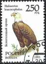 Russie - 1993 - Y & T n° 6043 - O.