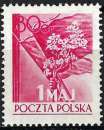 Pologne - 1954 - Y & T n° 746 - MNH
