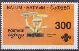 Batum Timbre 1994 champignons neuf ** - Cinderella 