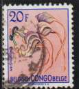CONGO BELGE 1952 - Y&T  N° 321