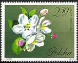 Pologne - 1971 - Y & T n° 1985 - MNH