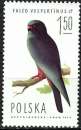 Pologne - 1974 - Y & T n° 2194 - MNH
