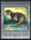Pologne - 1977 - Y & T n° 2337 - MNH