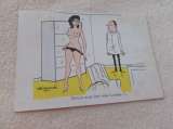 ILLUSTRATION HUMORISTIQUE ET COQUINE ..SIGNEE ALEXANDRE 