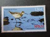 Saint Pierre & Miquelon y & t phalarope de wilson ** 2023