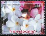 Polynésie - 2006 - Y & T n° 775 - MNH