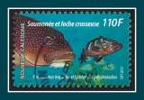 Nouvelle Calédonie  N° 1177 Obl. (ADH) Loche crasseuse 2013 Poisson
