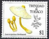 Timbre