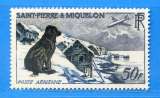 Réf-108 - SAINT PIERRE et MIQUELON PA N° 24 * * MNH - CHIEN TERRE NEUVE