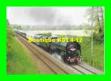 miniature AAATV R 1199 - np 4 - Train spécial, loco vapeur 141 R 1199 - ETANG-SUR-ARROUX - Saône-et-Loire SNCF