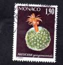 MONACO N° Y&T 1001 OBLITERE  - PLANTES DU JARDIN EXOTIQUE