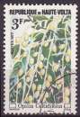 Timbre oblitéré n° 422(Yvert) Haute-Volta 1977 - Fruits sauvages