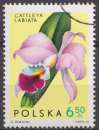 Pologne 1965 Y&T 1471 oblitéré - Fleurs - Orchidées 